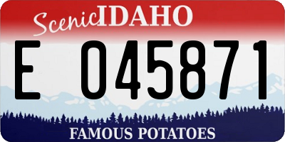 ID license plate E045871