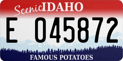 ID license plate E045872
