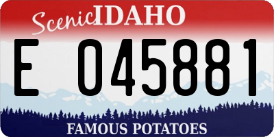 ID license plate E045881