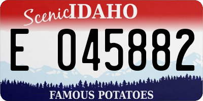 ID license plate E045882