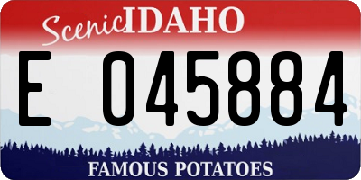 ID license plate E045884
