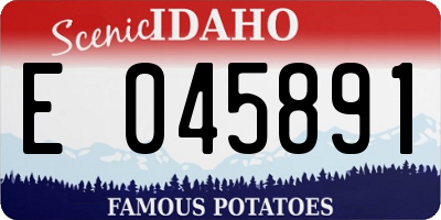 ID license plate E045891