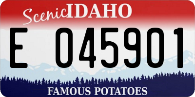 ID license plate E045901