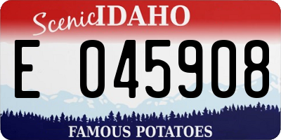 ID license plate E045908