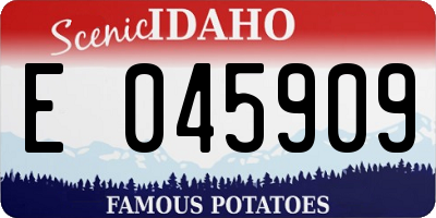 ID license plate E045909