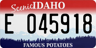 ID license plate E045918