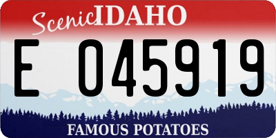 ID license plate E045919