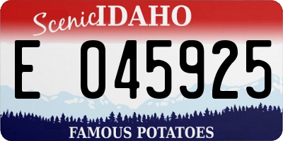 ID license plate E045925