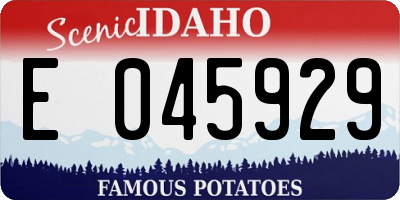 ID license plate E045929