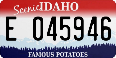 ID license plate E045946