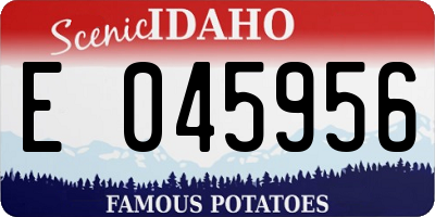 ID license plate E045956
