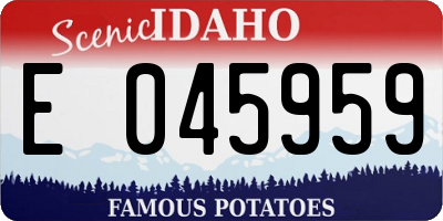ID license plate E045959