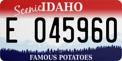 ID license plate E045960