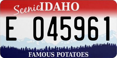 ID license plate E045961