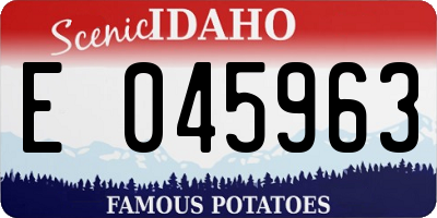 ID license plate E045963