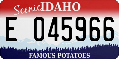 ID license plate E045966