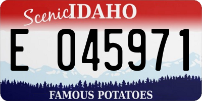 ID license plate E045971