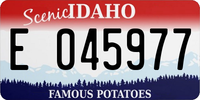 ID license plate E045977