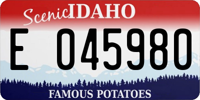 ID license plate E045980