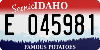 ID license plate E045981