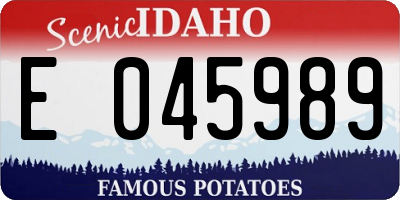 ID license plate E045989