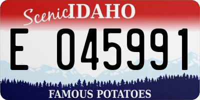 ID license plate E045991