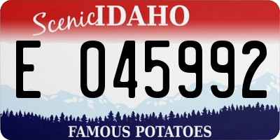 ID license plate E045992