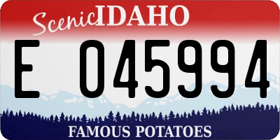ID license plate E045994
