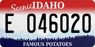 ID license plate E046020