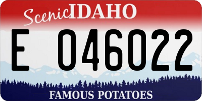 ID license plate E046022