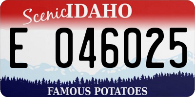 ID license plate E046025