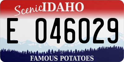 ID license plate E046029
