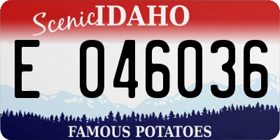 ID license plate E046036