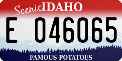 ID license plate E046065