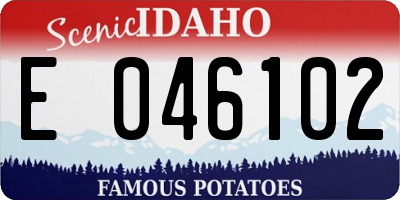 ID license plate E046102