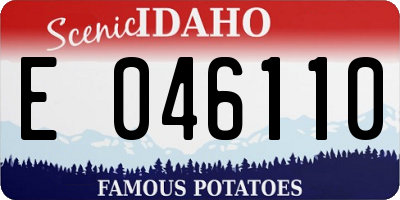 ID license plate E046110
