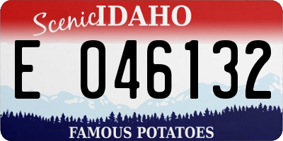 ID license plate E046132