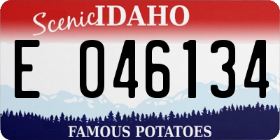 ID license plate E046134