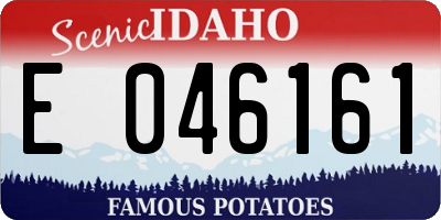 ID license plate E046161