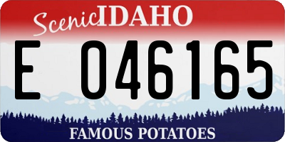 ID license plate E046165
