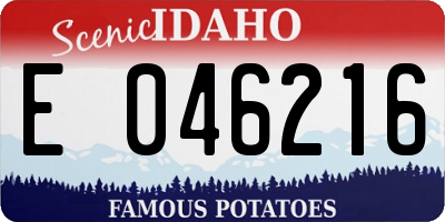 ID license plate E046216
