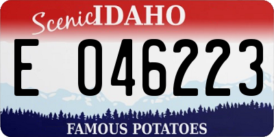 ID license plate E046223