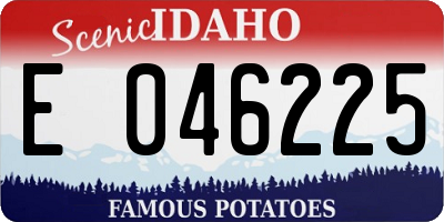 ID license plate E046225