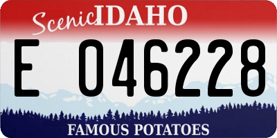 ID license plate E046228