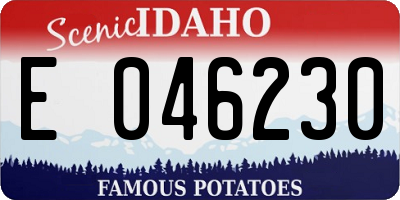 ID license plate E046230