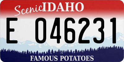 ID license plate E046231