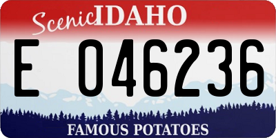 ID license plate E046236