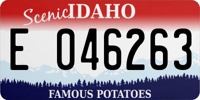ID license plate E046263