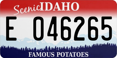 ID license plate E046265