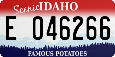 ID license plate E046266